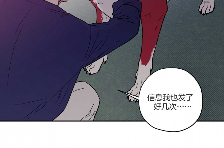 《引狼入室》漫画最新章节第98话免费下拉式在线观看章节第【26】张图片