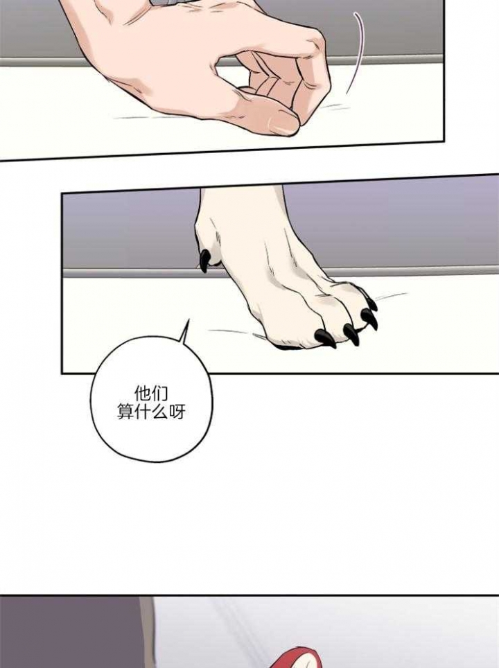 《引狼入室》漫画最新章节第39话免费下拉式在线观看章节第【19】张图片