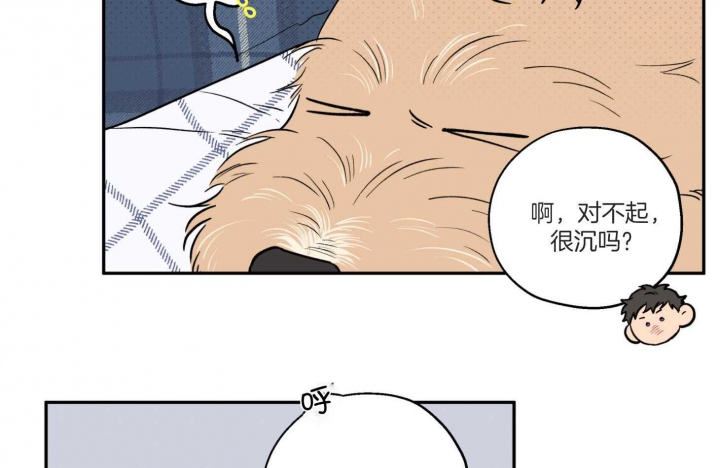 《引狼入室》漫画最新章节第94话免费下拉式在线观看章节第【25】张图片