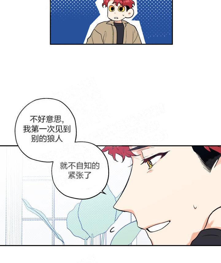 《引狼入室》漫画最新章节第20话免费下拉式在线观看章节第【19】张图片