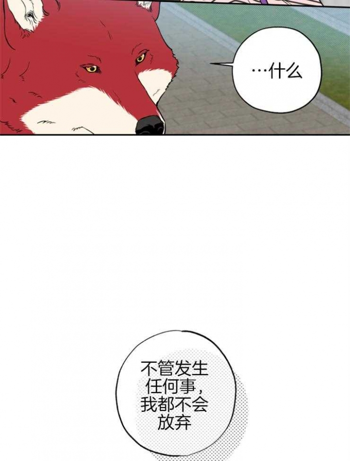 《引狼入室》漫画最新章节第61话免费下拉式在线观看章节第【15】张图片