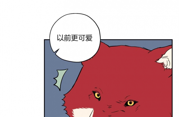 《引狼入室》漫画最新章节第81话免费下拉式在线观看章节第【12】张图片