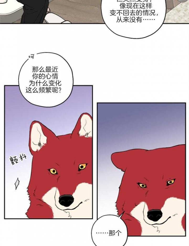 《引狼入室》漫画最新章节第39话免费下拉式在线观看章节第【13】张图片