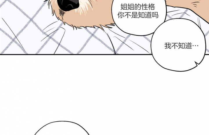 《引狼入室》漫画最新章节第93话免费下拉式在线观看章节第【37】张图片