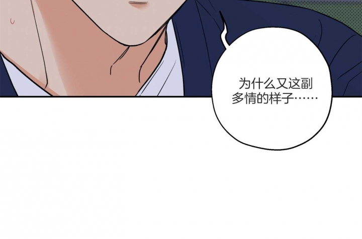 《引狼入室》漫画最新章节第98话免费下拉式在线观看章节第【31】张图片