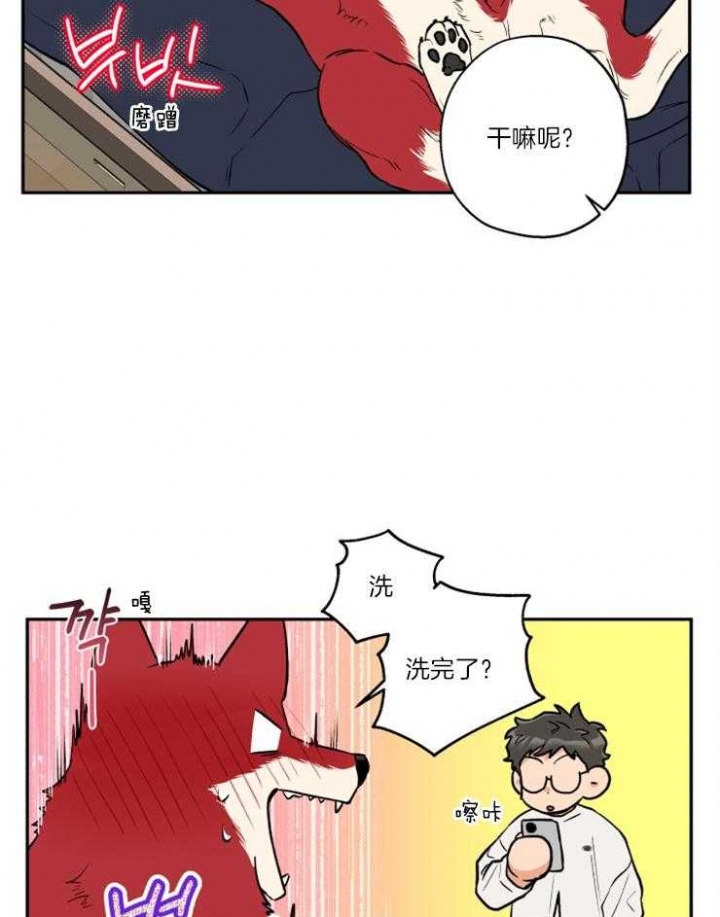 《引狼入室》漫画最新章节第36话免费下拉式在线观看章节第【25】张图片