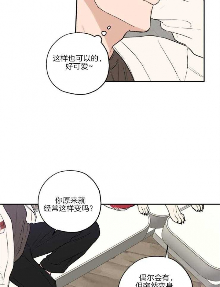 《引狼入室》漫画最新章节第39话免费下拉式在线观看章节第【12】张图片