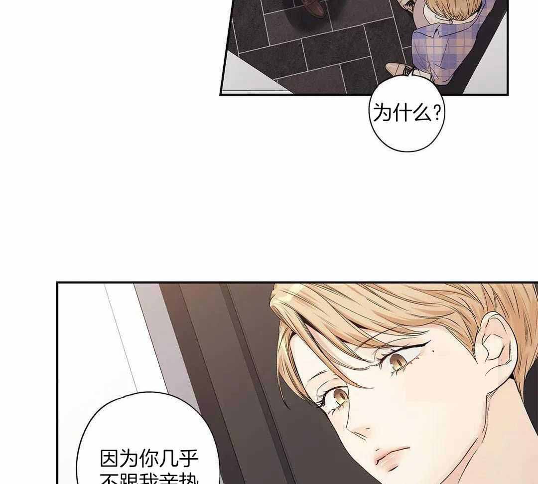 《爱情是幻想》漫画最新章节第206话免费下拉式在线观看章节第【24】张图片