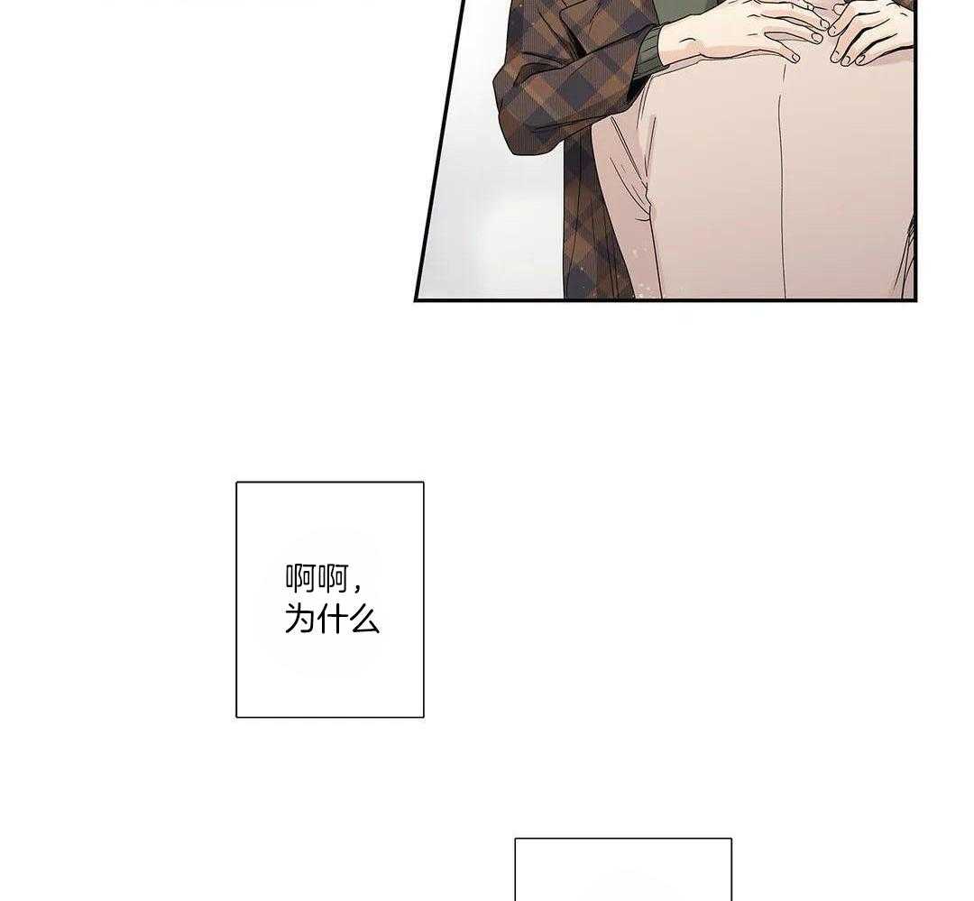 《爱情是幻想》漫画最新章节第204话免费下拉式在线观看章节第【57】张图片