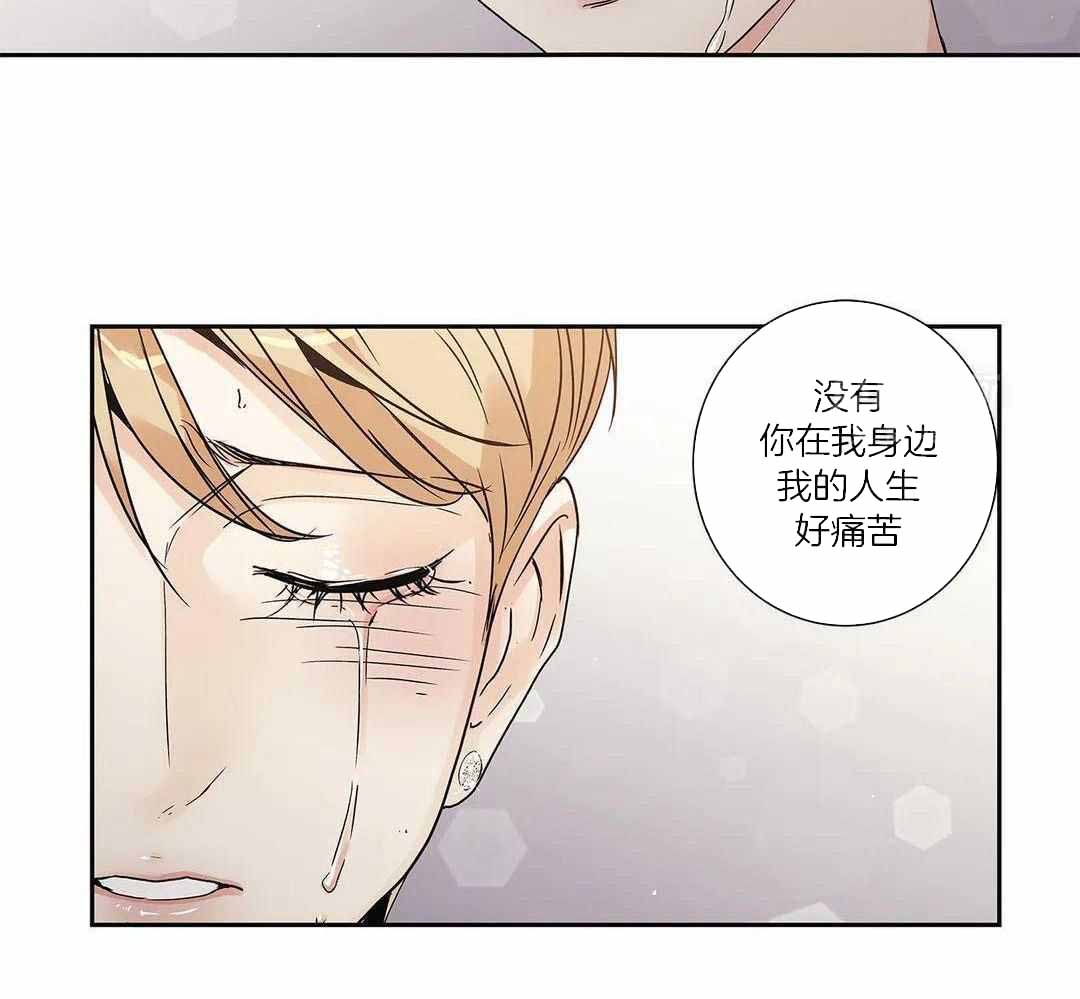 《爱情是幻想》漫画最新章节第204话免费下拉式在线观看章节第【52】张图片