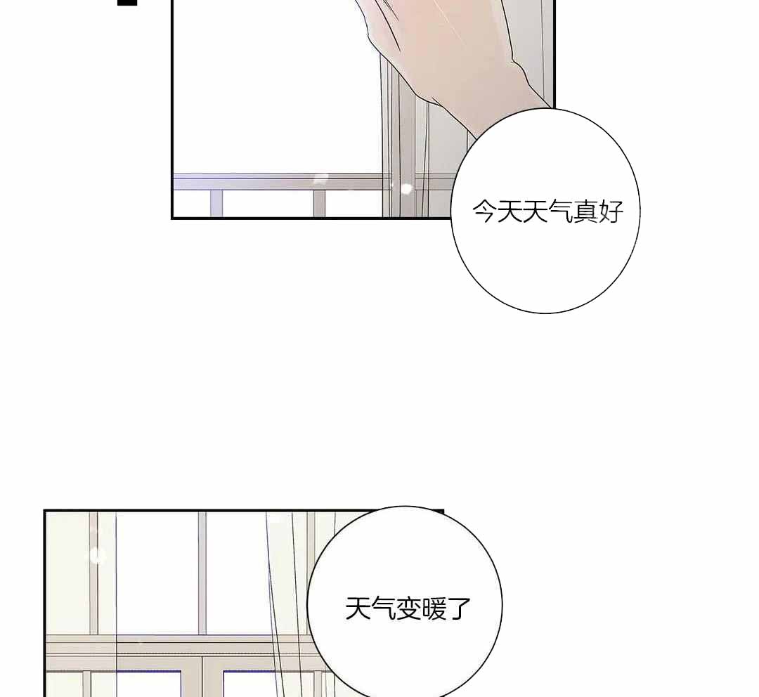 《爱情是幻想》漫画最新章节第202话免费下拉式在线观看章节第【23】张图片