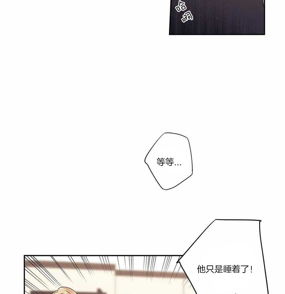 《爱情是幻想》漫画最新章节第169话免费下拉式在线观看章节第【19】张图片