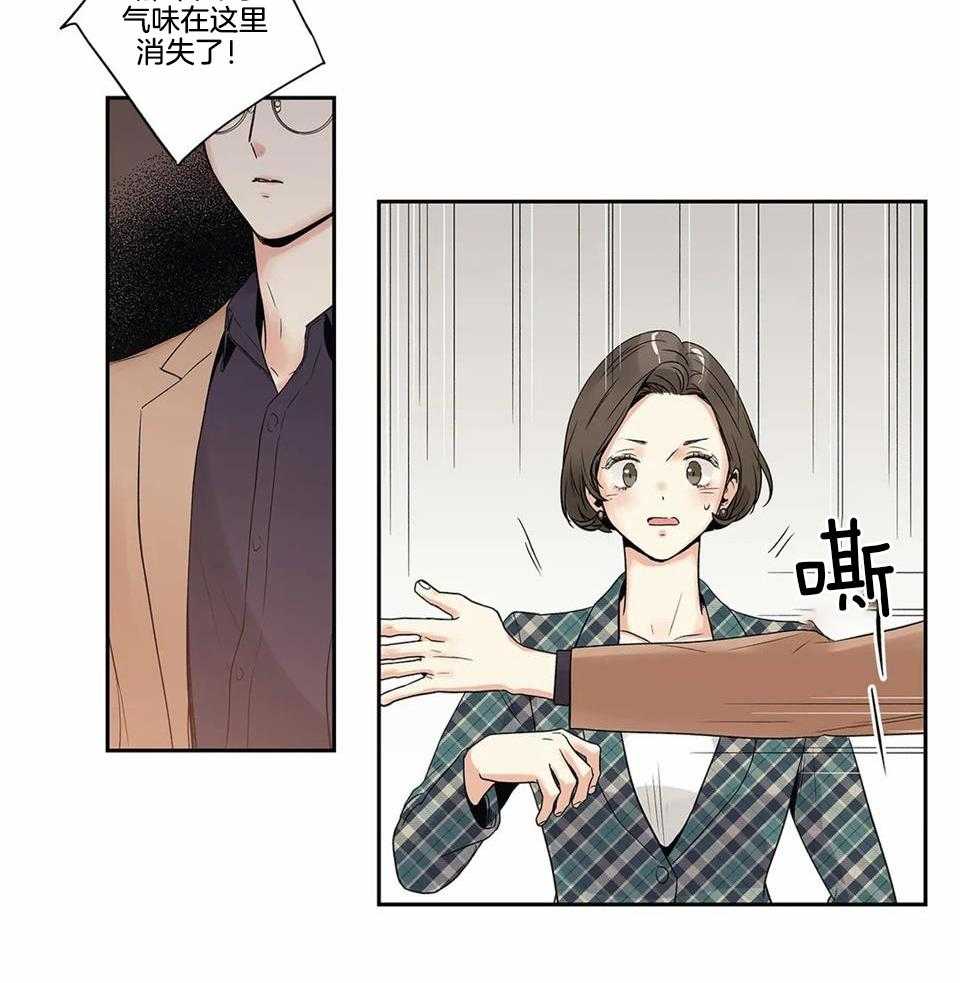 《爱情是幻想》漫画最新章节第166话免费下拉式在线观看章节第【37】张图片