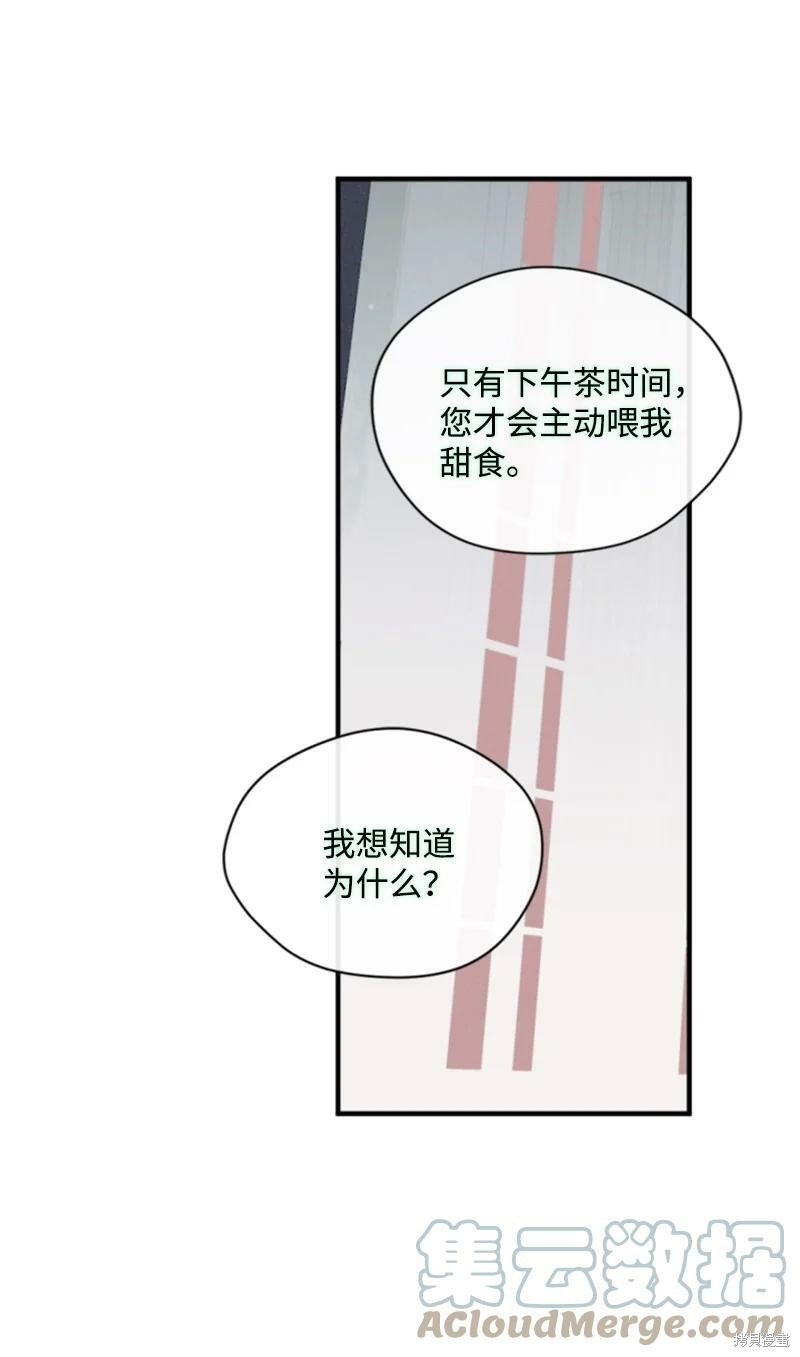 《无法实现的魔女之愿》漫画最新章节第114话免费下拉式在线观看章节第【68】张图片