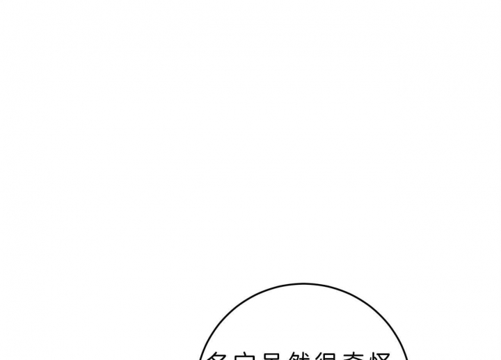 《厚颜无耻(番外)》漫画最新章节第41话免费下拉式在线观看章节第【19】张图片