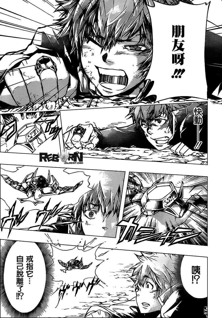 《家庭教师》漫画最新章节第342话 结局免费下拉式在线观看章节第【15】张图片