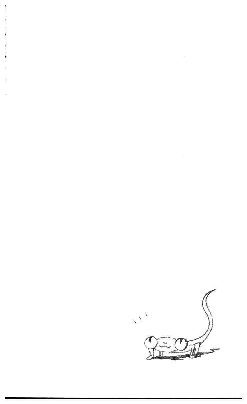 《家庭教师》漫画最新章节第39卷免费下拉式在线观看章节第【129】张图片