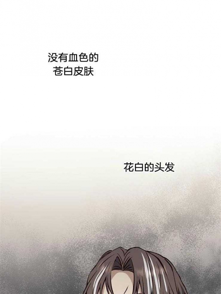《满级法师重回新手村》漫画最新章节第20话免费下拉式在线观看章节第【33】张图片