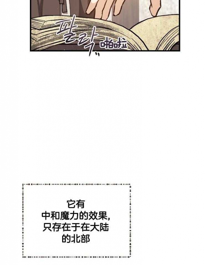 《满级法师重回新手村》漫画最新章节第24话免费下拉式在线观看章节第【11】张图片