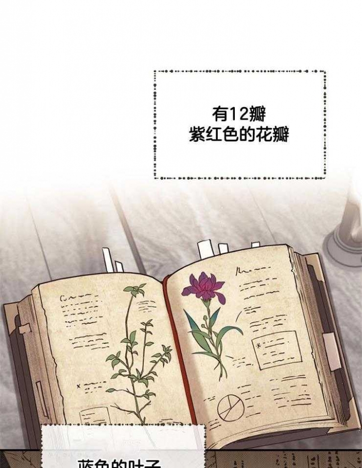 《满级法师重回新手村》漫画最新章节第24话免费下拉式在线观看章节第【12】张图片