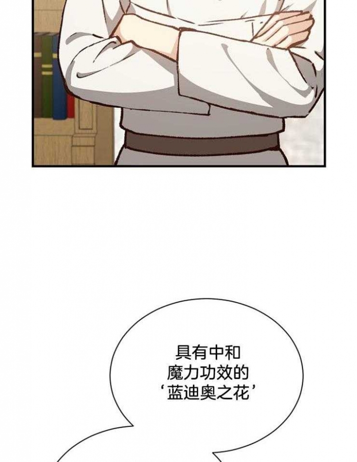 《满级法师重回新手村》漫画最新章节第24话免费下拉式在线观看章节第【17】张图片