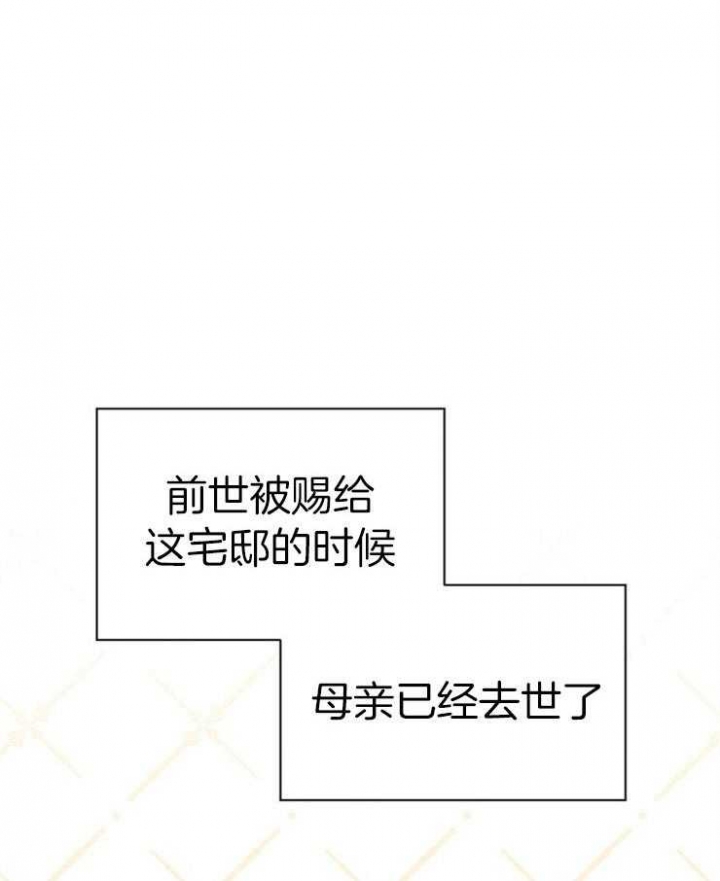 《满级法师重回新手村》漫画最新章节第42话免费下拉式在线观看章节第【1】张图片