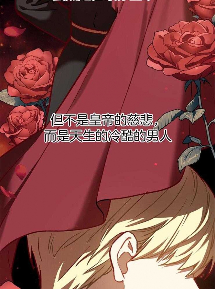《满级法师重回新手村》漫画最新章节第42话免费下拉式在线观看章节第【34】张图片