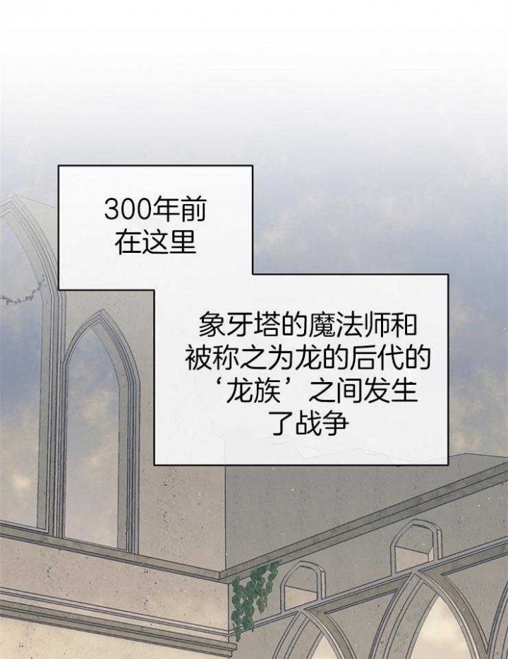 《满级法师重回新手村》漫画最新章节第37话免费下拉式在线观看章节第【15】张图片