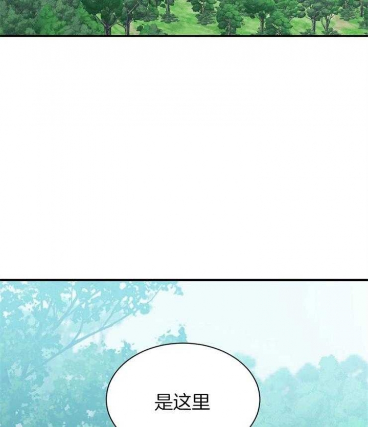 《满级法师重回新手村》漫画最新章节第15话免费下拉式在线观看章节第【2】张图片