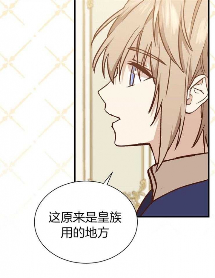 《满级法师重回新手村》漫画最新章节第42话免费下拉式在线观看章节第【5】张图片
