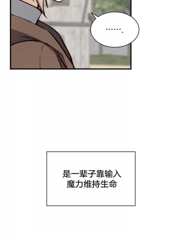 《满级法师重回新手村》漫画最新章节第21话免费下拉式在线观看章节第【19】张图片