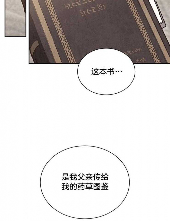 《满级法师重回新手村》漫画最新章节第24话免费下拉式在线观看章节第【9】张图片