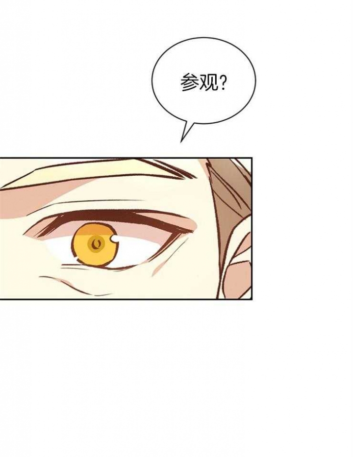 《满级法师重回新手村》漫画最新章节第44话免费下拉式在线观看章节第【21】张图片