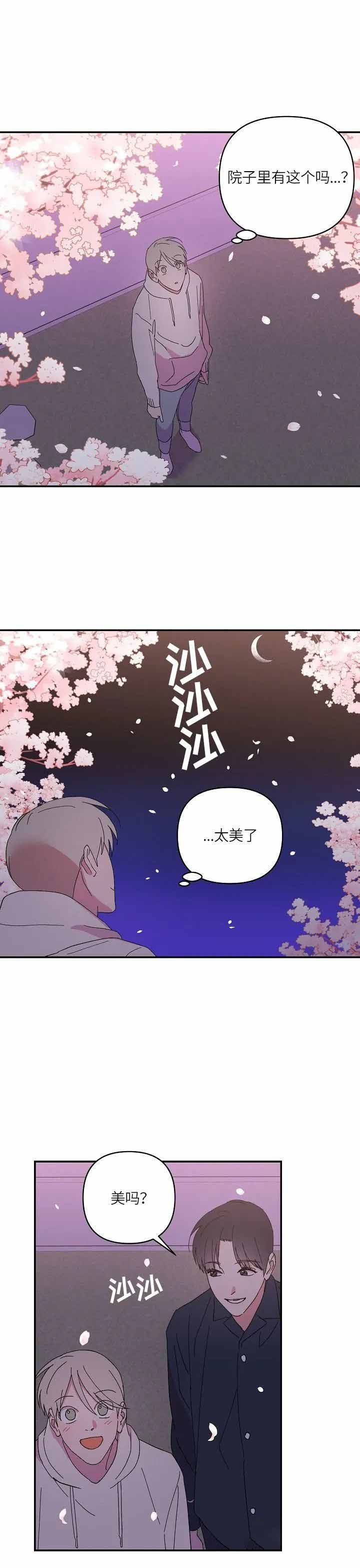 《订婚对象是花美男》漫画最新章节第66话免费下拉式在线观看章节第【4】张图片