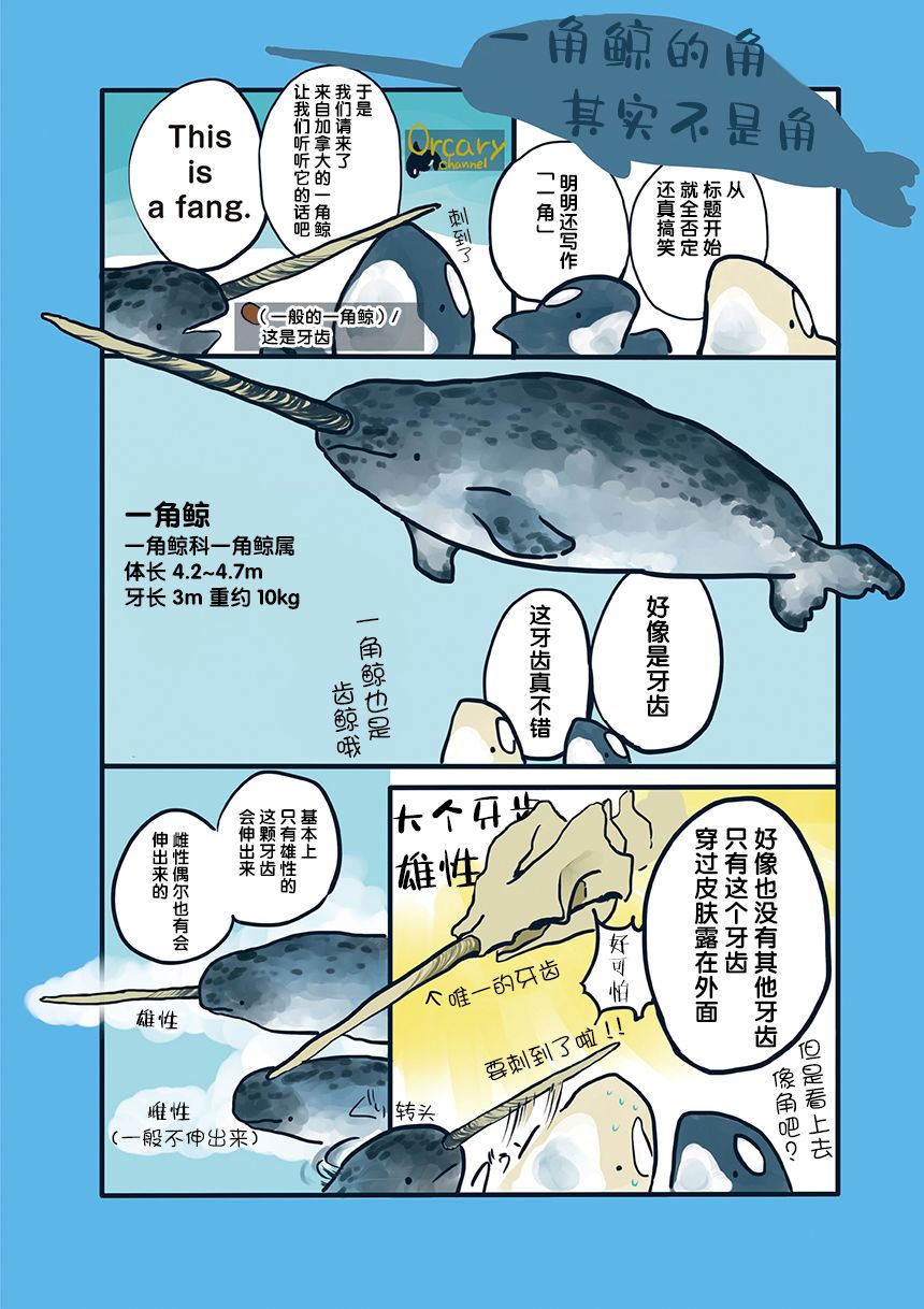 《海洋动物太可爱了!》漫画最新章节第10话免费下拉式在线观看章节第【1】张图片