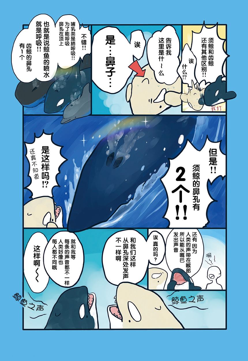 《海洋动物太可爱了!》漫画最新章节第3话免费下拉式在线观看章节第【4】张图片