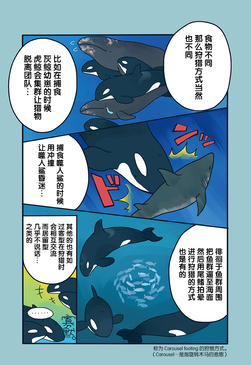 《海洋动物太可爱了!》漫画最新章节第11话免费下拉式在线观看章节第【3】张图片