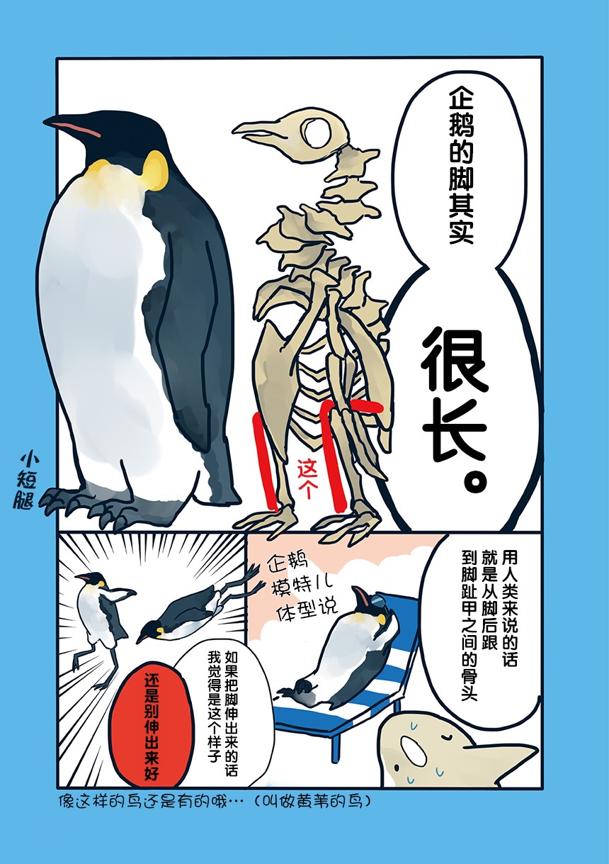 《海洋动物太可爱了!》漫画最新章节第8话免费下拉式在线观看章节第【2】张图片