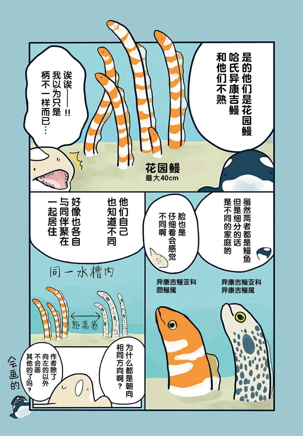 《海洋动物太可爱了!》漫画最新章节第17话免费下拉式在线观看章节第【2】张图片