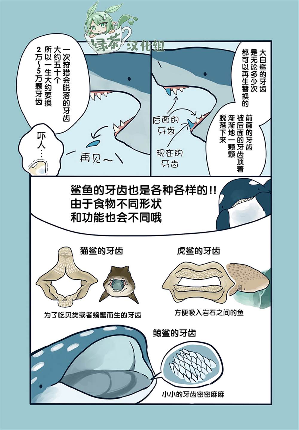 《海洋动物太可爱了!》漫画最新章节第16话免费下拉式在线观看章节第【4】张图片