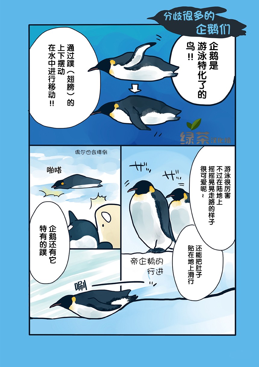 《海洋动物太可爱了!》漫画最新章节第8话免费下拉式在线观看章节第【1】张图片