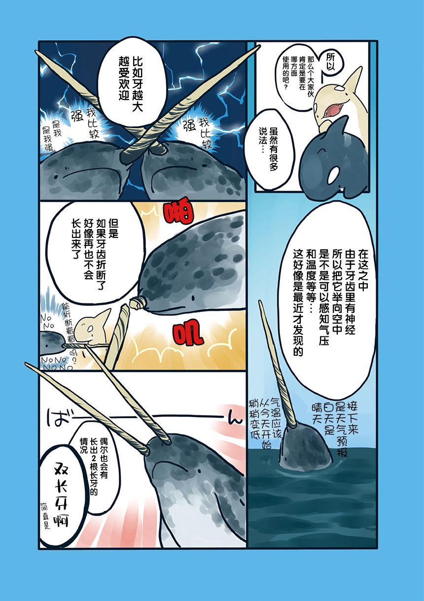 《海洋动物太可爱了!》漫画最新章节第10话免费下拉式在线观看章节第【2】张图片