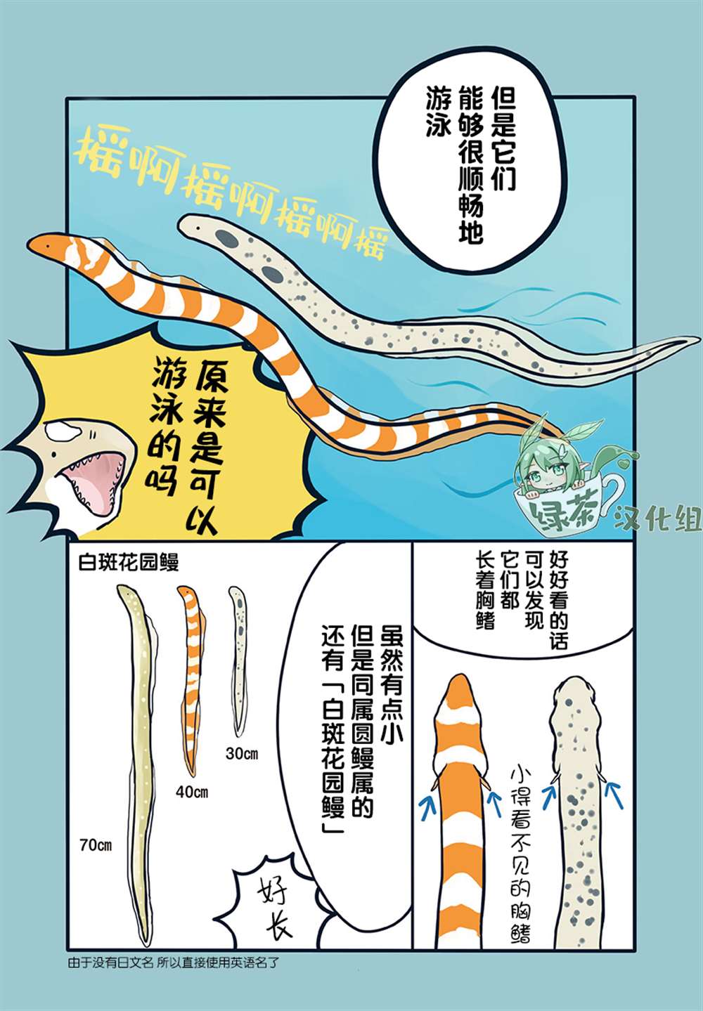《海洋动物太可爱了!》漫画最新章节第17话免费下拉式在线观看章节第【4】张图片