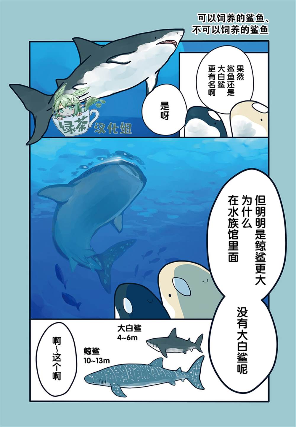 《海洋动物太可爱了!》漫画最新章节第16话免费下拉式在线观看章节第【1】张图片