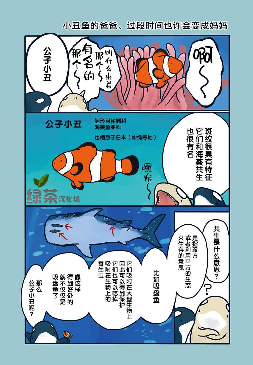 《海洋动物太可爱了!》漫画最新章节第12话免费下拉式在线观看章节第【1】张图片