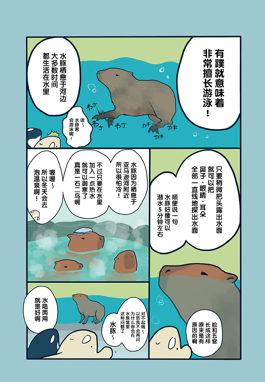 《海洋动物太可爱了!》漫画最新章节第13话免费下拉式在线观看章节第【4】张图片