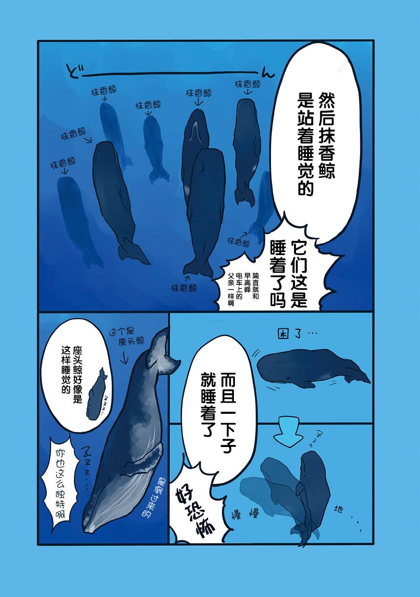 《海洋动物太可爱了!》漫画最新章节第7话免费下拉式在线观看章节第【2】张图片