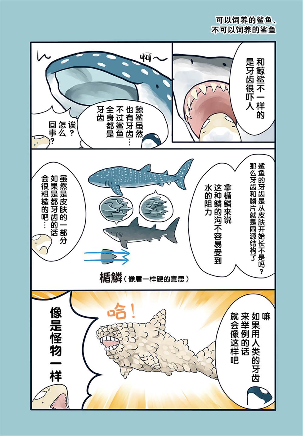 《海洋动物太可爱了!》漫画最新章节第16话免费下拉式在线观看章节第【3】张图片