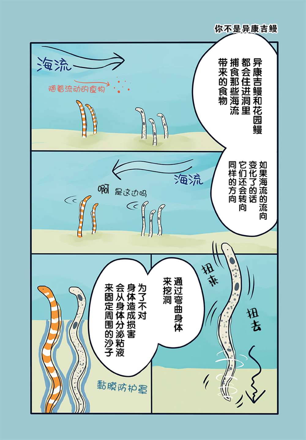 《海洋动物太可爱了!》漫画最新章节第17话免费下拉式在线观看章节第【3】张图片