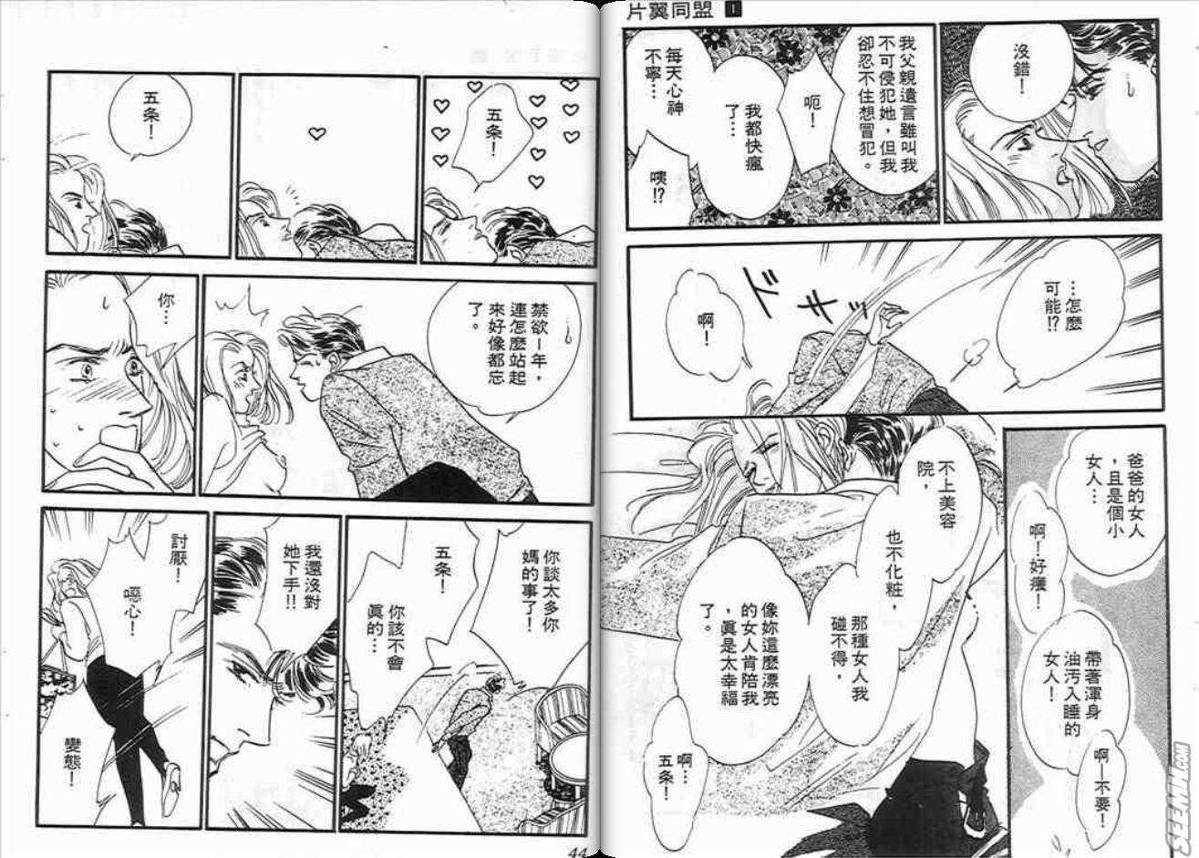 《片翼同盟》漫画最新章节第1卷免费下拉式在线观看章节第【22】张图片